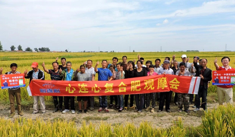 1570497073755595.png image.png