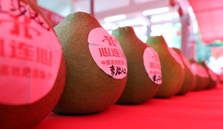 1602835887701595.png image.png