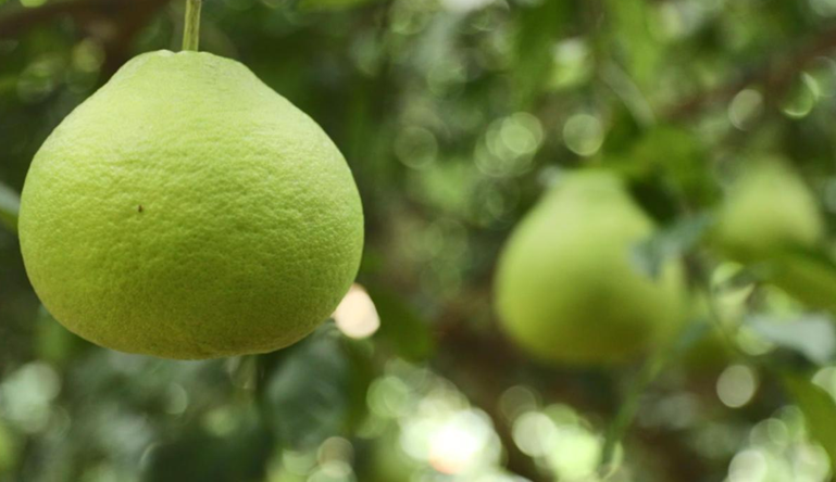 1602835974956286.png image.png