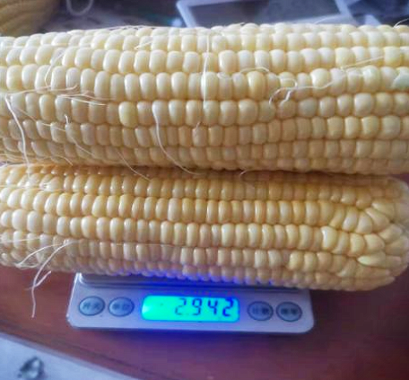 1618646199901112.png image.png