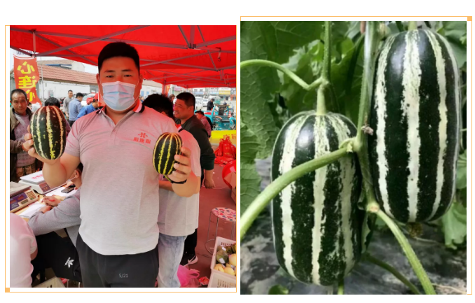 1621301046986869.png image.png