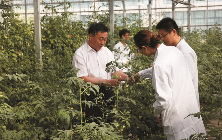 1686971039376843.png image.png