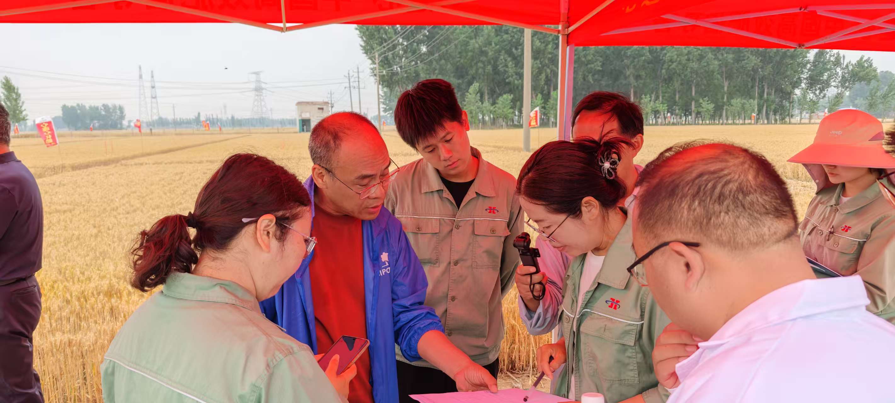 高溫旱情下科技賦能農(nóng)業(yè)！心連心集團(tuán)主持的兩個(gè)“十四五”課題交出亮眼成績(jī)單