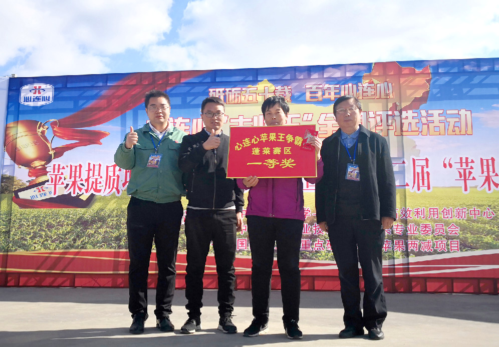 蓬萊蘋(píng)果“豐收王”